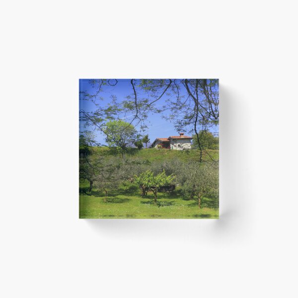 Item preview, The house in the olive grove designed and sold by annalisa56.