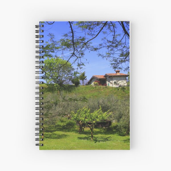 Item preview, The house in the olive grove designed and sold by annalisa56.