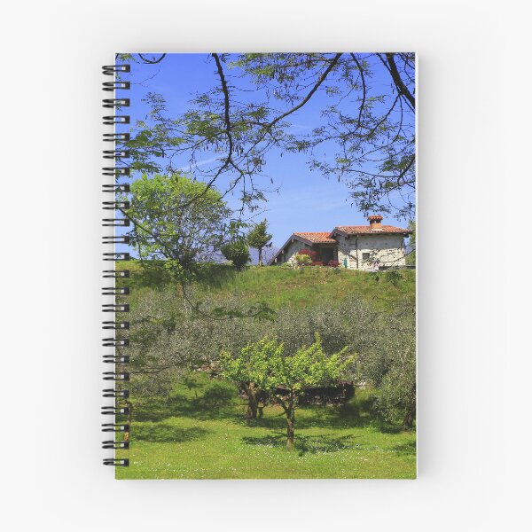 Item preview, The house in the olive grove designed and sold by annalisa56.