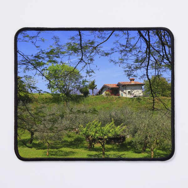 Item preview, The house in the olive grove designed and sold by annalisa56.