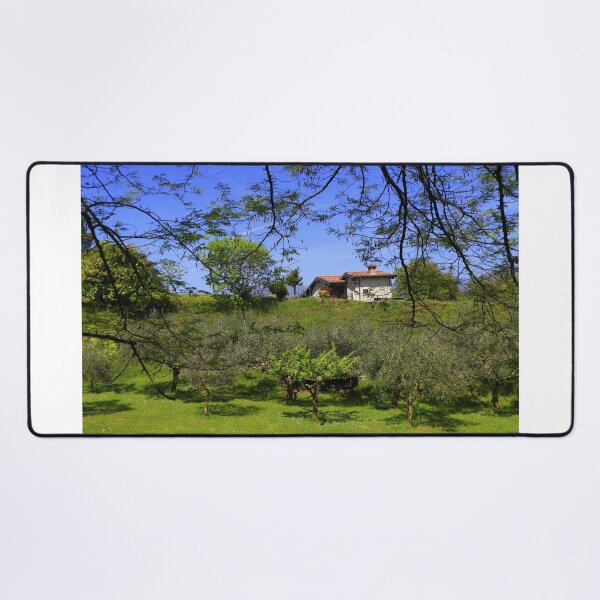 Item preview, The house in the olive grove designed and sold by annalisa56.
