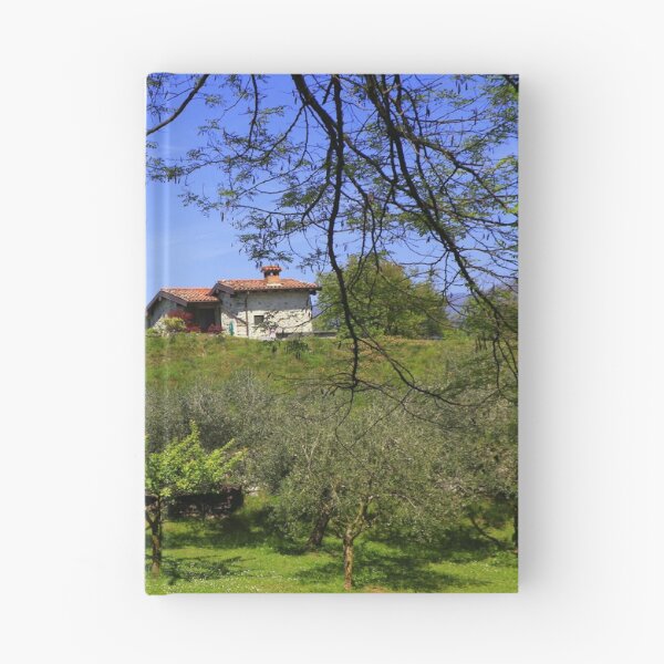 Item preview, The house in the olive grove designed and sold by annalisa56.
