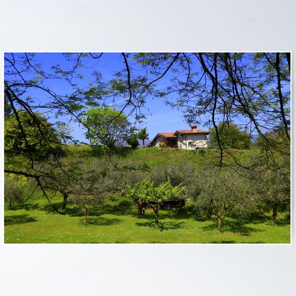 Item preview, The house in the olive grove designed and sold by annalisa56.