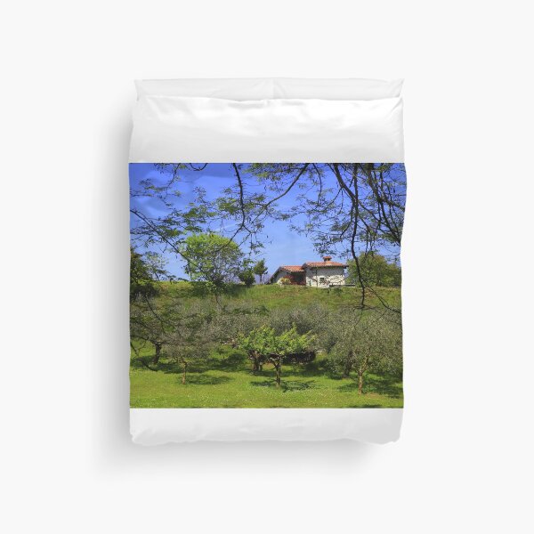 Artikelvorschau, Das Haus im Olivenhain entworfen und verkauft von annalisa56.
