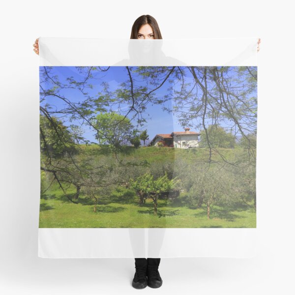 Item preview, The house in the olive grove designed and sold by annalisa56.