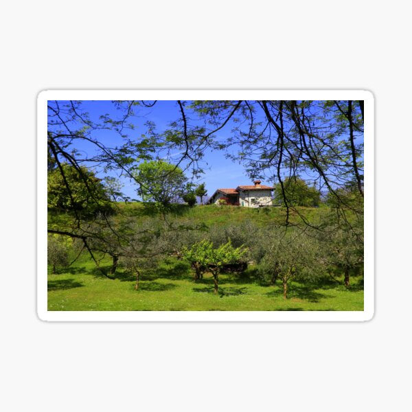 Item preview, The house in the olive grove designed and sold by annalisa56.