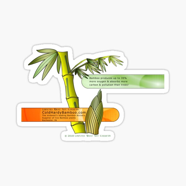 Cold Hardy Bamboo Sticker