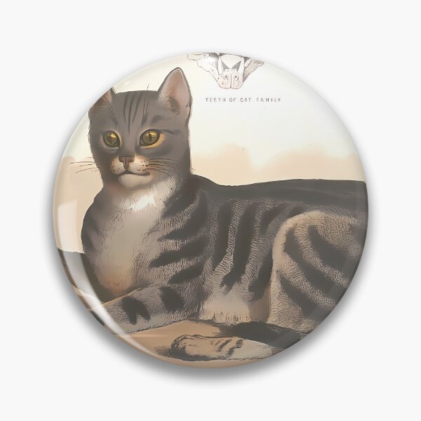 Item preview, Domestic Cat Study | Vintage Cat Art designed and sold by GammaRay.