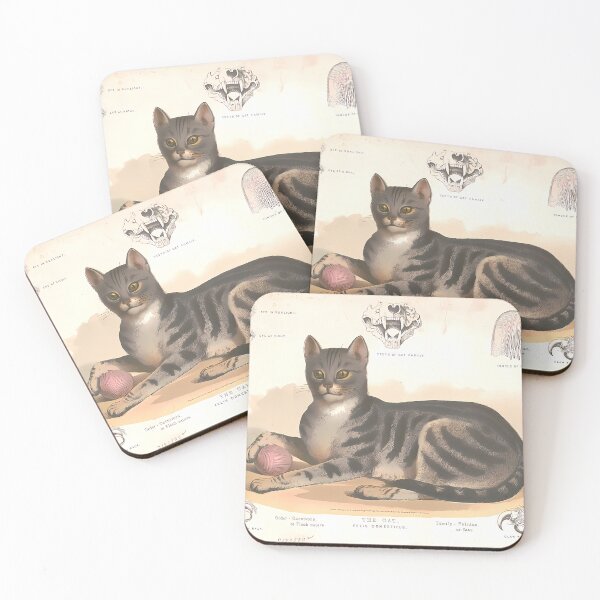 Item preview, Domestic Cat Study | Vintage Cat Art designed and sold by GammaRay.