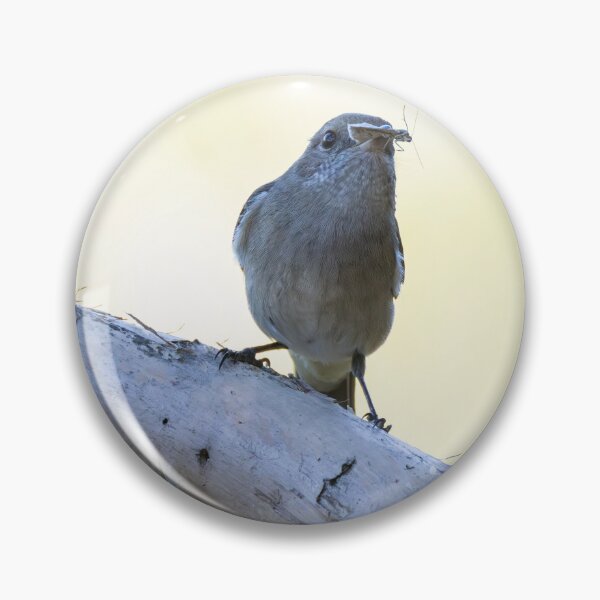 Item preview, Australian Golden Whistler designed and sold by Malcolm Katon.