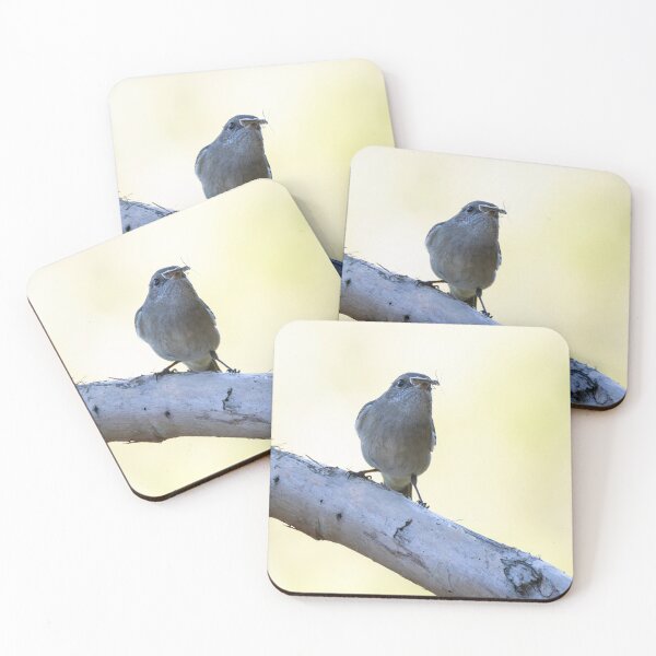 Item preview, Australian Golden Whistler designed and sold by Malcolm Katon.