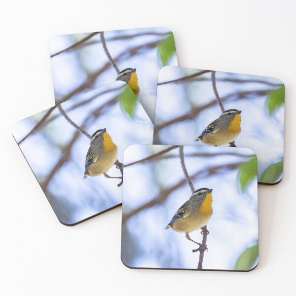 Item preview, Spotted Pardalote designed and sold by Malcolm Katon.