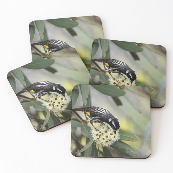 Item preview, New Holland Honeyeater designed and sold by Malcolm Katon.