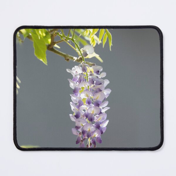 Item preview, Wisteria 1 designed and sold by Malcolm Katon.