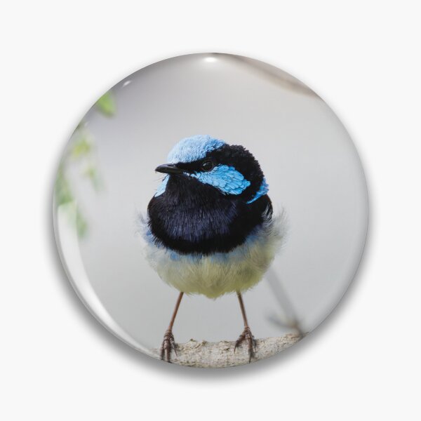 Item preview, Superb Fairywren 2 designed and sold by Malcolm Katon.