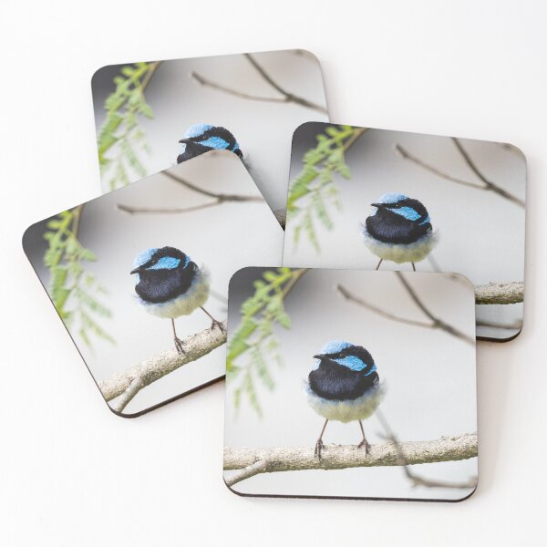 Item preview, Superb Fairywren 2 designed and sold by Malcolm Katon.