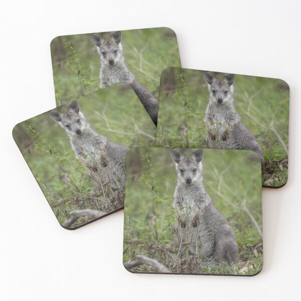 Item preview, Wallaby 1 designed and sold by Malcolm Katon.