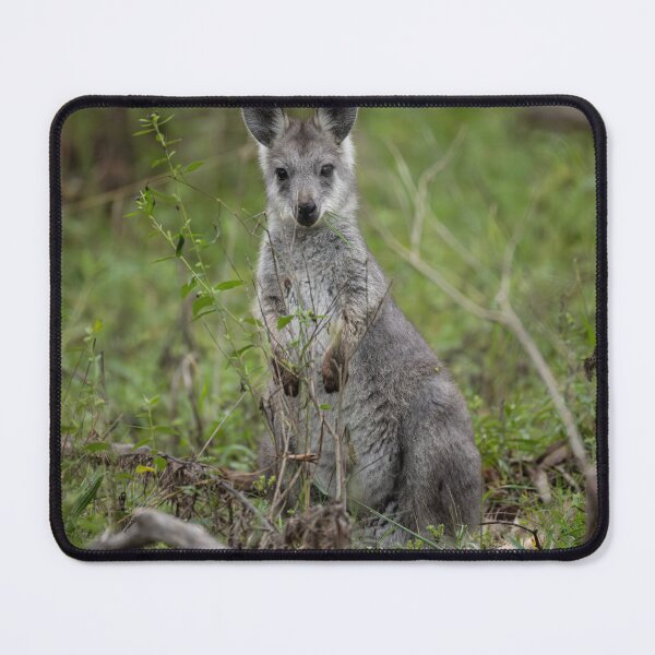 Item preview, Wallaby 1 designed and sold by Malcolm Katon.