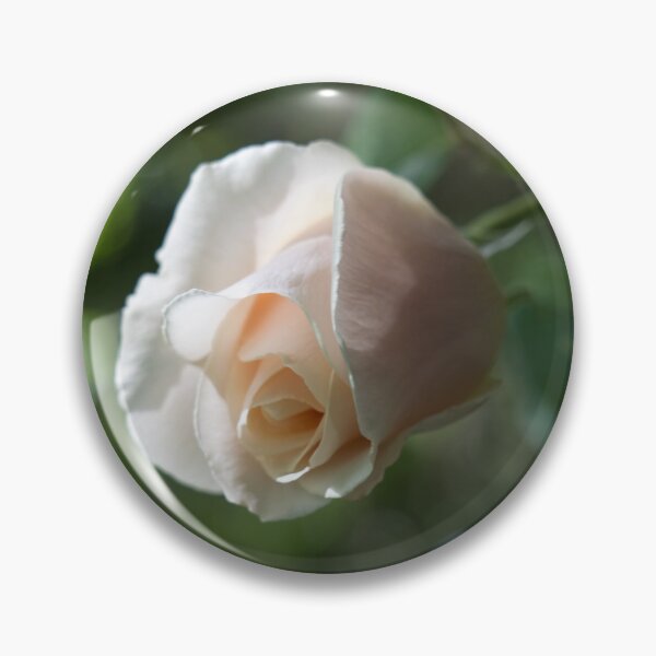 Item preview, Delicate Pale Cream Rosebud designed and sold by Georgia Mizuleva.