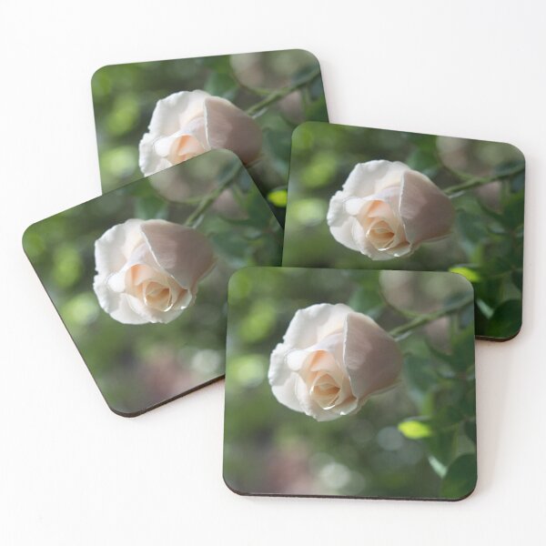 Item preview, Delicate Pale Cream Rosebud designed and sold by Georgia Mizuleva.