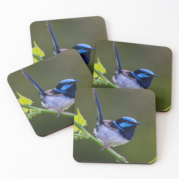 Item preview, Australian Superb Fairy-Wren designed and sold by Ross.A.Campbell.