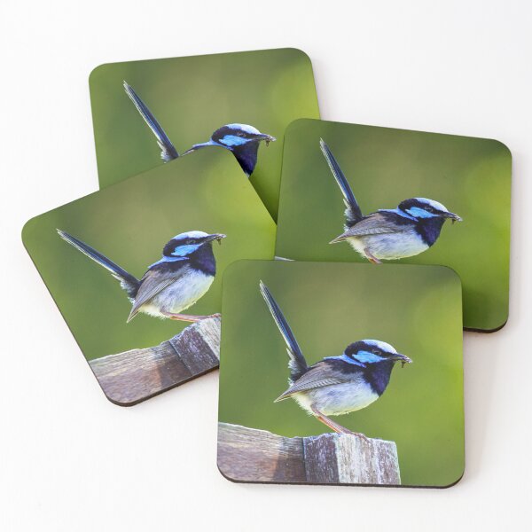Item preview, Australian Superb Fairy-Wren designed and sold by Ross.A.Campbell.