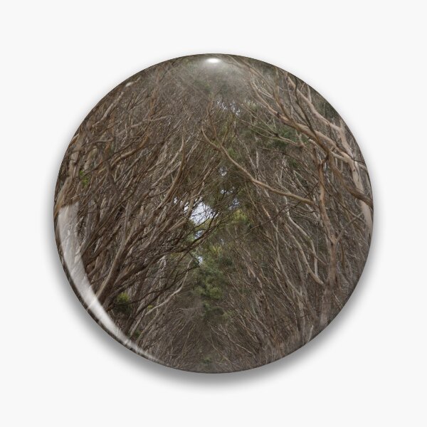 Item preview, Bluegum Road designed and sold by Malcolm Katon.