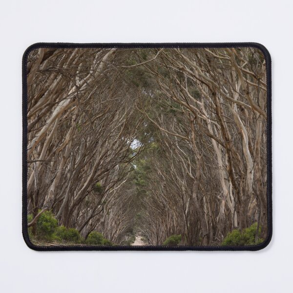 Item preview, Bluegum Road designed and sold by Malcolm Katon.