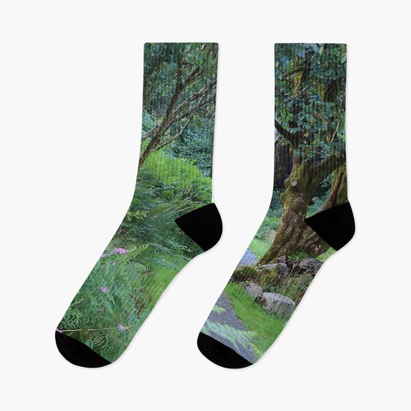 Item preview, follow the path designed and sold by Murph's Images.