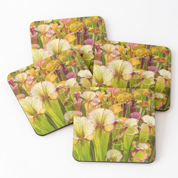 Item preview, Beautiful Sarrachenia designed and sold by Ameliatra Design.