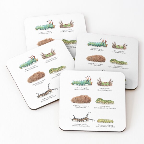 Item preview, Caterpillar Species designed and sold by ArunDandiboina.