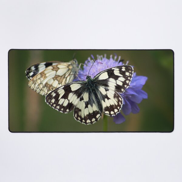 Item preview, marbled white designed and sold by Murph's Images.