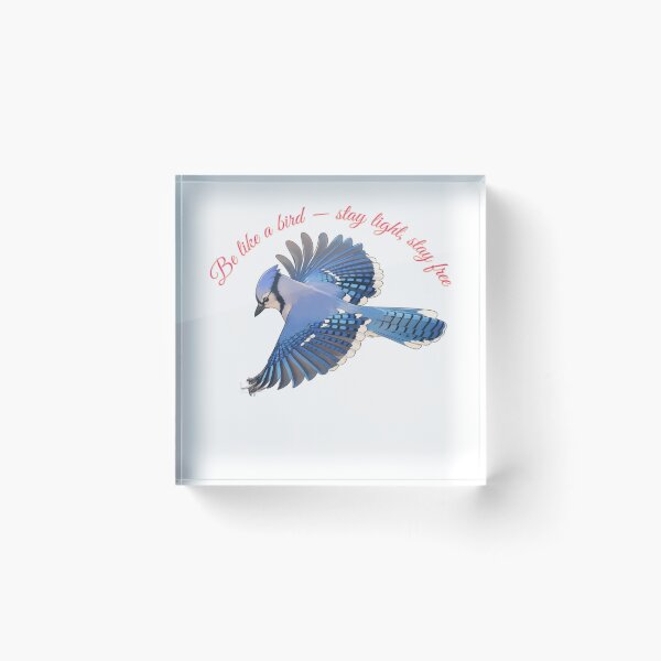 Item preview, Cerulean Soar: Detailed Blue Jay in Flight designed and sold by BLUESKY11a.