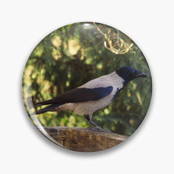 Item preview, Quiet Observer designed and sold by Beti Photography.