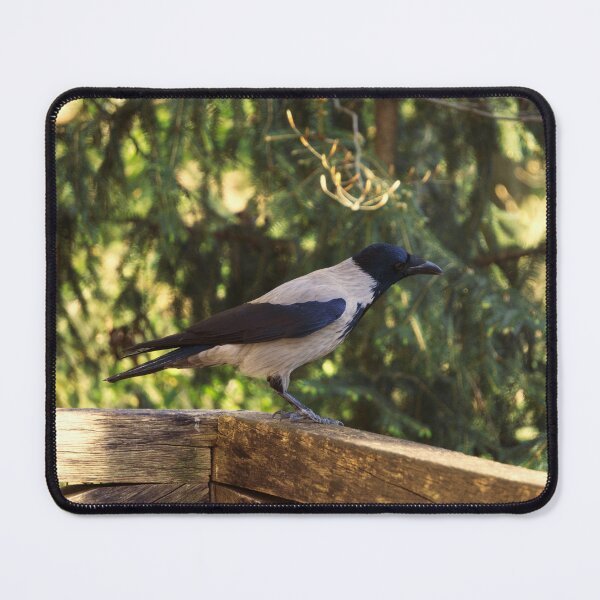 Item preview, Quiet Observer designed and sold by Beti Photography.