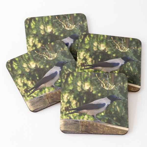 Item preview, Quiet Observer designed and sold by Beti Photography.