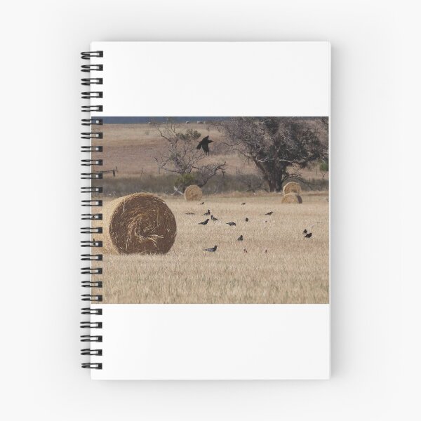 Item preview, Hay Bales and Black Winged Visitors designed and sold by Images-on-Eyre.