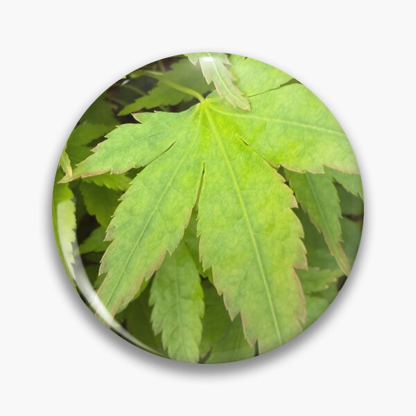 Item preview, Leaf Steady designed and sold by Betsy Phillips.
