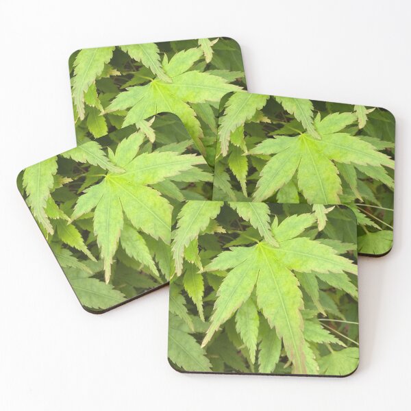 Item preview, Leaf Steady designed and sold by Betsy Phillips.