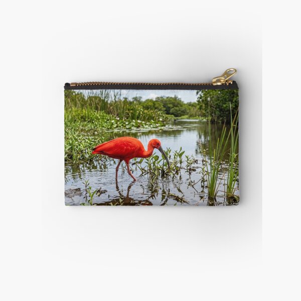 Item preview, Red ibis in the marsh designed and sold by Malisa345.
