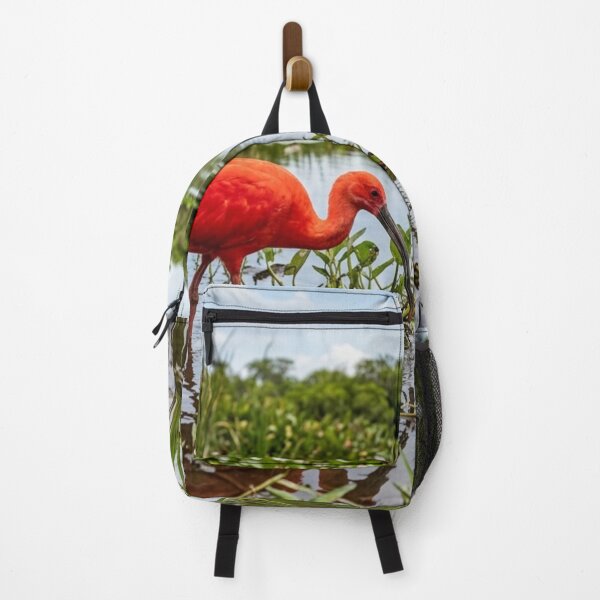 Item preview, Red ibis in the marsh designed and sold by Malisa345.