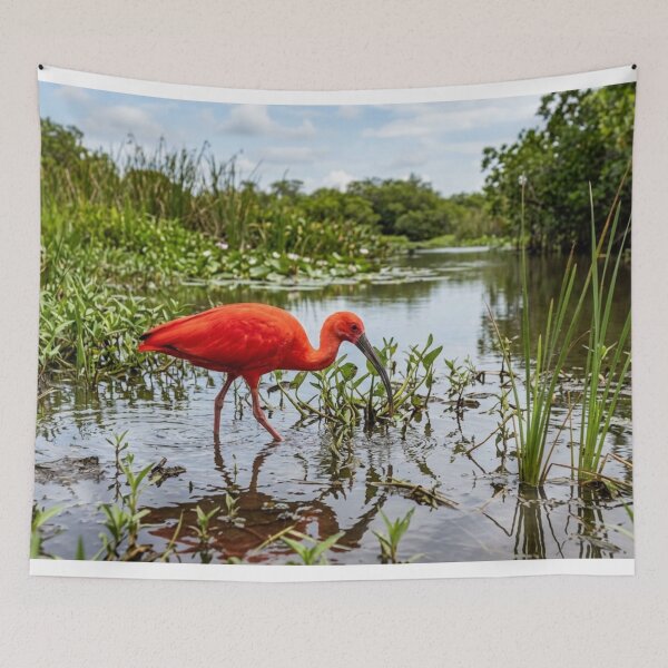 Item preview, Red ibis in the marsh designed and sold by Malisa345.
