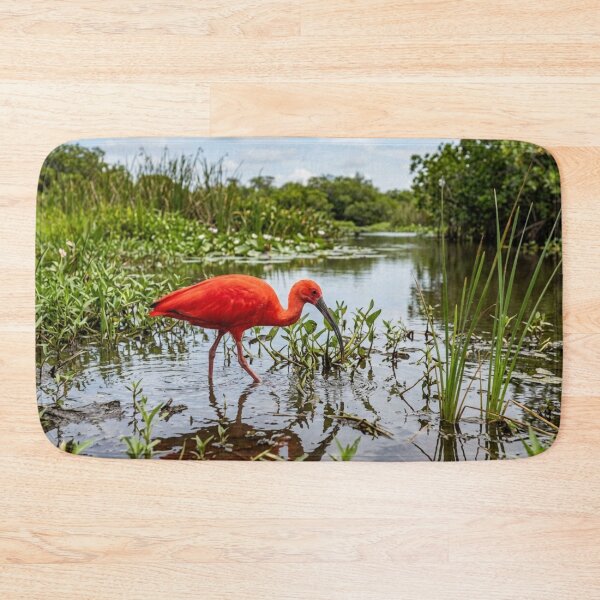 Item preview, Red ibis in the marsh designed and sold by Malisa345.