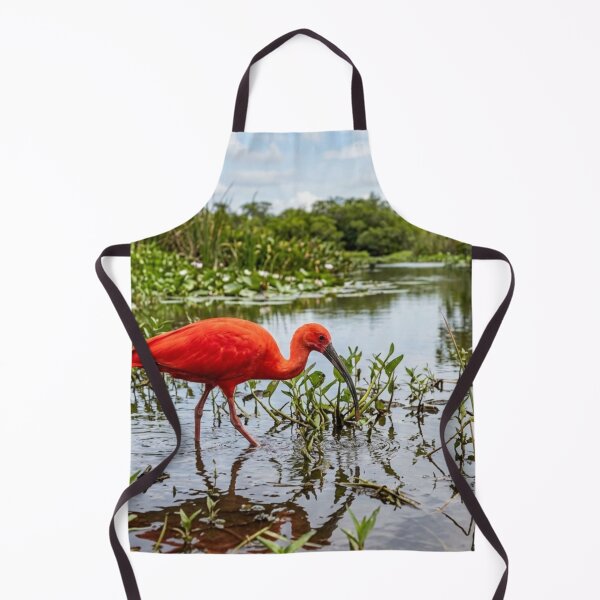 Item preview, Red ibis in the marsh designed and sold by Malisa345.
