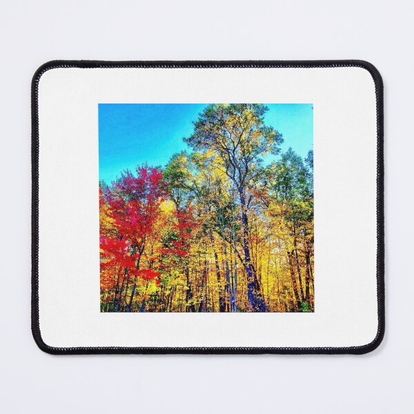 Item preview, Autumn Symphony in the Forest designed and sold by EACS Photo.