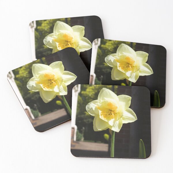 Item preview, Daffodil in Spring sunshine photograph designed and sold by Natimo-Studio.
