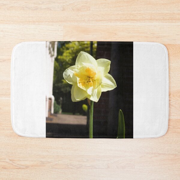 Item preview, Daffodil in Spring sunshine photograph designed and sold by Natimo-Studio.