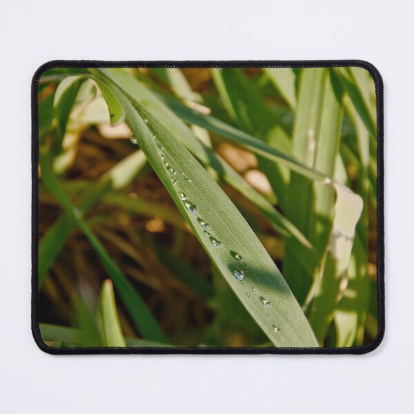 Item preview, Morning Dew Alignment on Green Leaf designed and sold by ShotsbyDesiree.