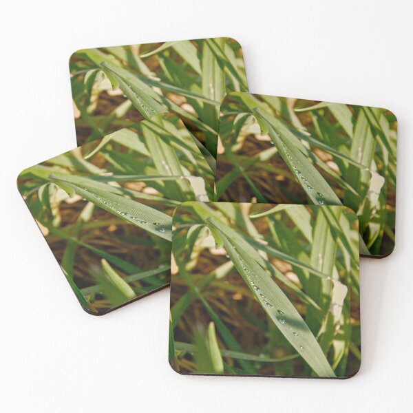 Item preview, Morning Dew Alignment on Green Leaf designed and sold by ShotsbyDesiree.