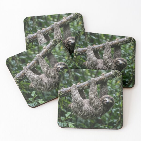 Item preview, Lazy in the rain designed and sold by Malisa345.